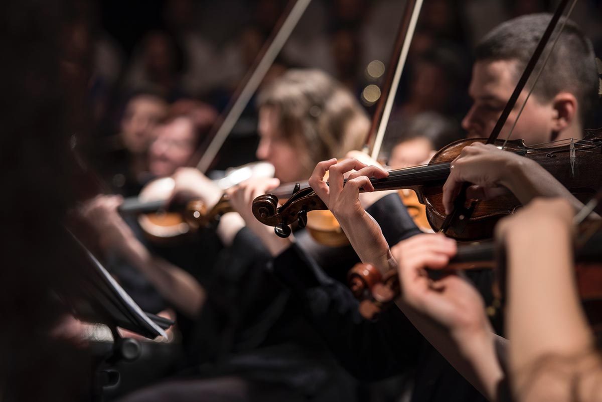 GDConsulting Consultoria Escenica Theatre Consultants violines